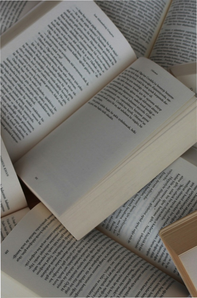 Stacks Image 85